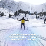 Лыжный поход